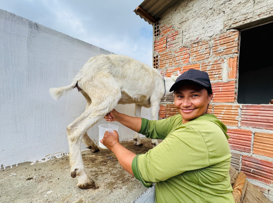 Clean energy powers a 